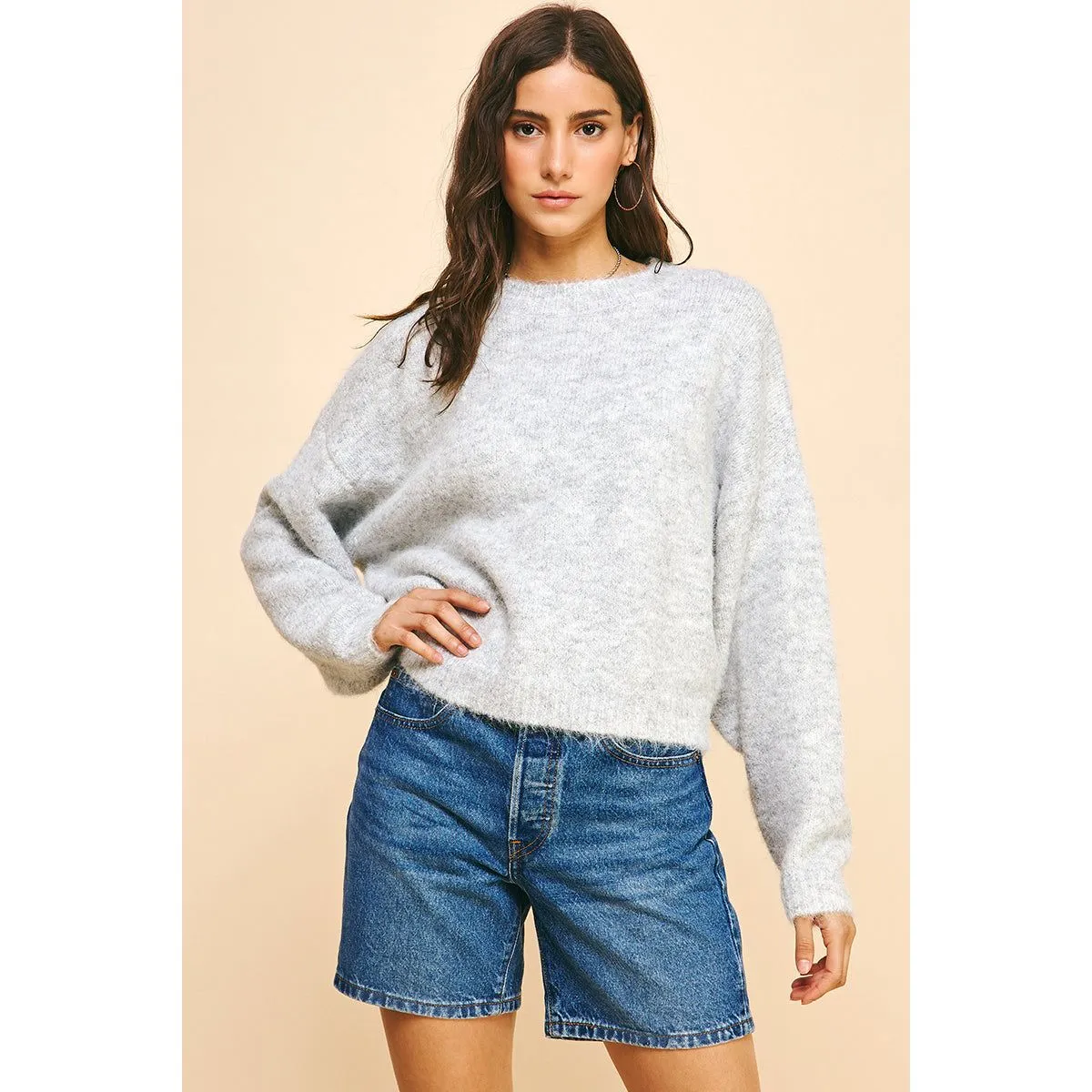 Mariana Long Sleeve Pullover PINCH Sweater